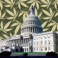 Cannabis Rescheduling Coalition Petition Federal Brief Filed Today: Demands DEA Update Their&nbsp;Science!