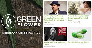 GREEN FLOWER MEDIA 2