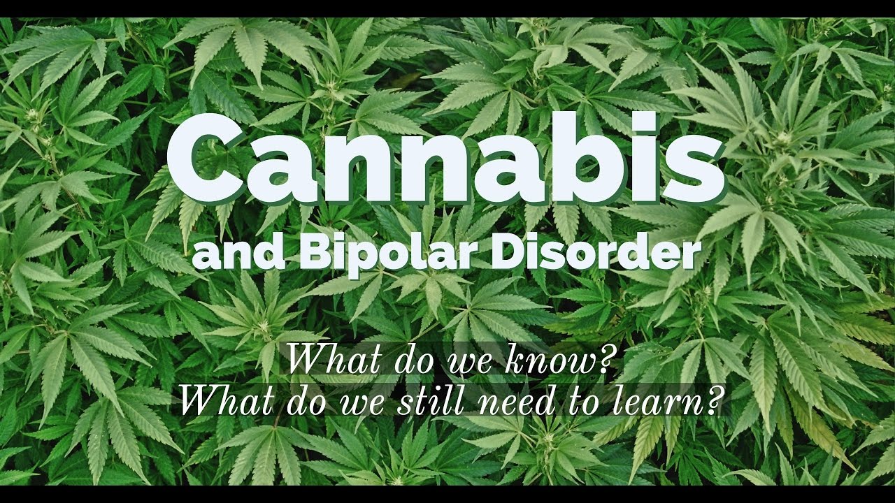 bipolar marijuana