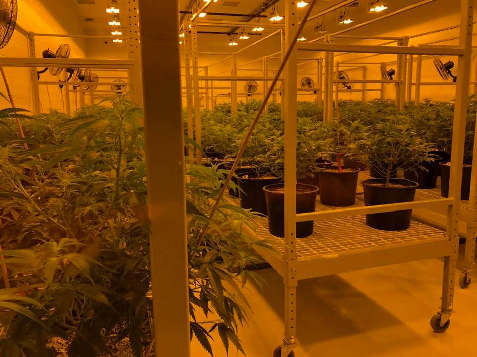 Here’s All The Coverage From MedPharm Iowa’s Ribbon Cutting Ceremony | Quote of the Week: “I just can’t understand how people don’t want to&nbsp;help”