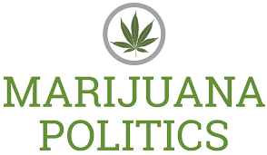 marijuana politics
