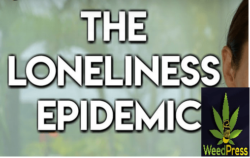 Congratulations Teal Swan: “Externalized Collective Shadow” Diagnosis Spot&nbsp;On
