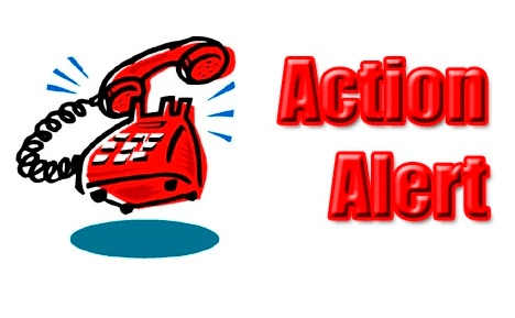 Ankeny DMACC Tomorrow: Medical Cannabis Advisory Board Public Meeting, On Valentine’s Day At 10&nbsp;AM