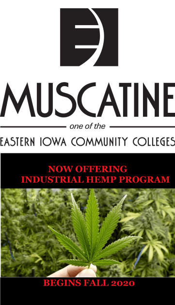 Muscatine Hemp meme