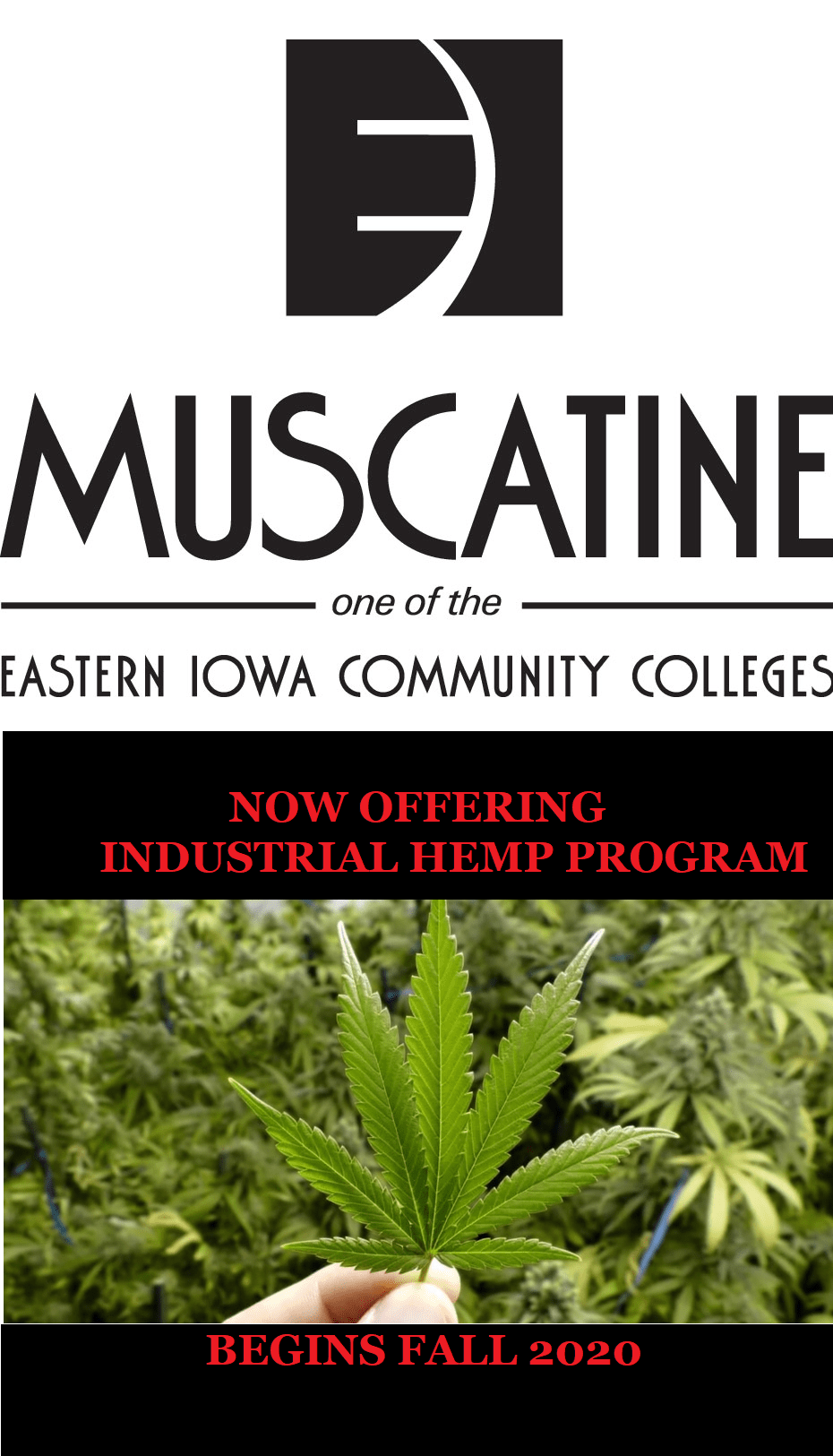 Students: Industrial Hemp Production Diploma now being offered at Muscatine Community&nbsp;College