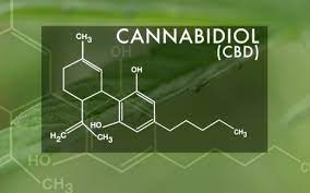 PROJECT CBD RELEASES PRIMER ON CANNABINOID-DRUG INTERACTIONS