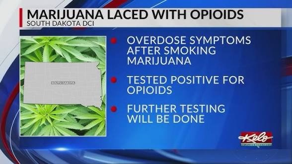 South Dakota Marijuana Laced With Fentanyl: One Case Reported&nbsp;Found