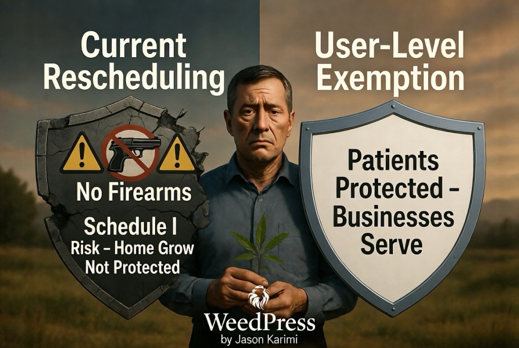 Patient Legal Risks Solved: A User-Level Exemption Model for Schedule III