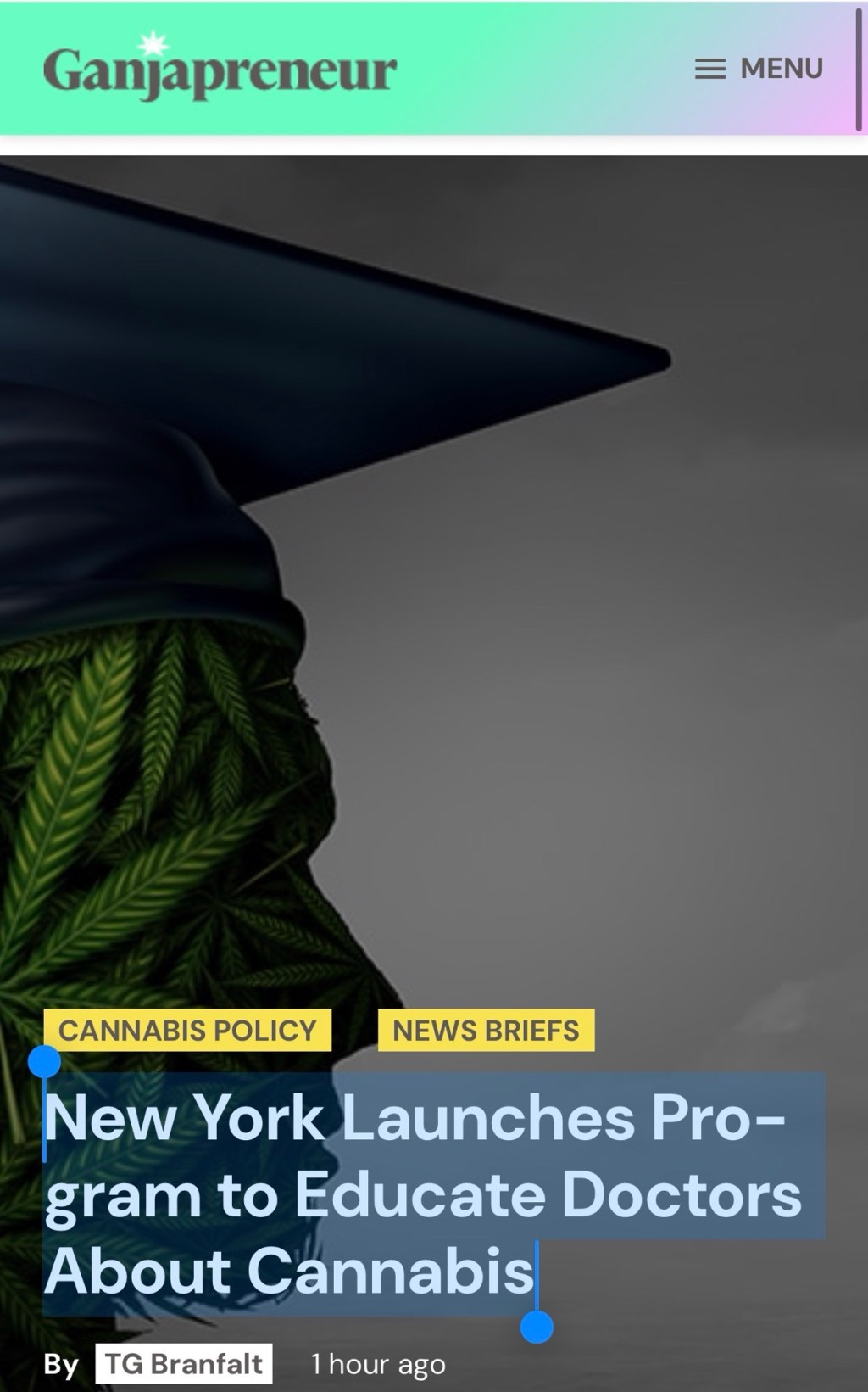 New York Launches Program to Educate Doctors About Cannabis