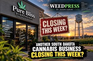 Pure Bliss Planned for Medical, Recreational and Expansion. Now Its Tea Dispensary Is Reportedly&nbsp;Closing.
